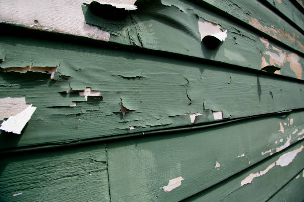 Best Wood Siding Installation  in Rutherford College, NC