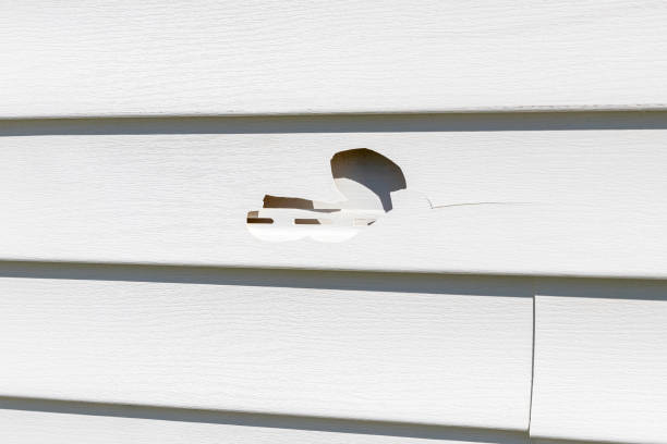 Best Insulated Siding Installation  in Rutherford College, NC
